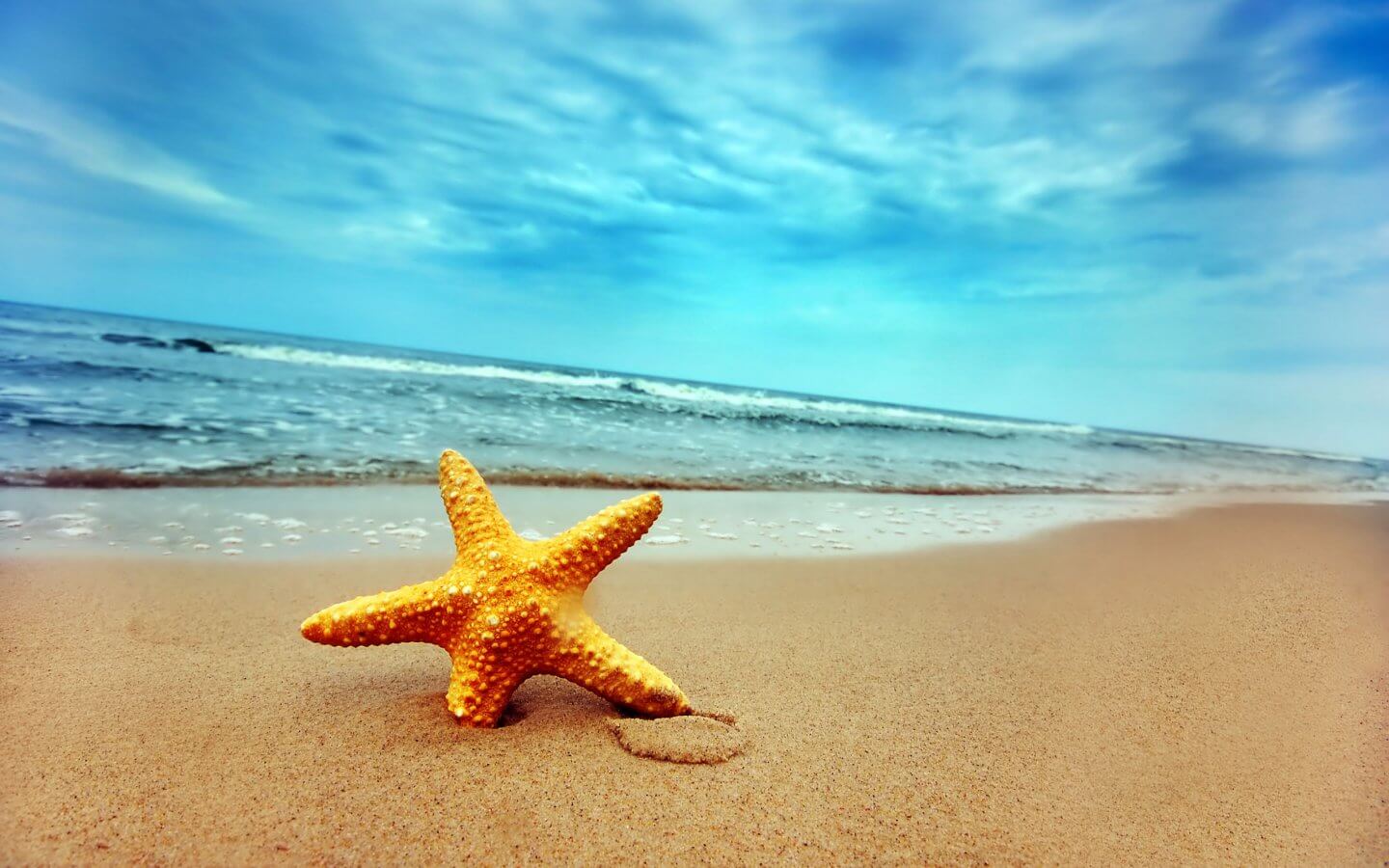 prodotti indispensabili al mare